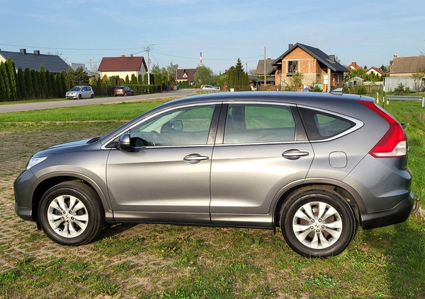 Honda CR-V cena 59909 przebieg: 168000, rok produkcji 2013 z Sieradz małe 529